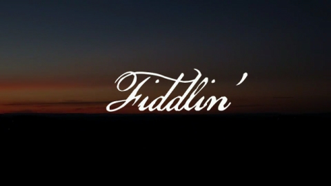  Fiddlin 