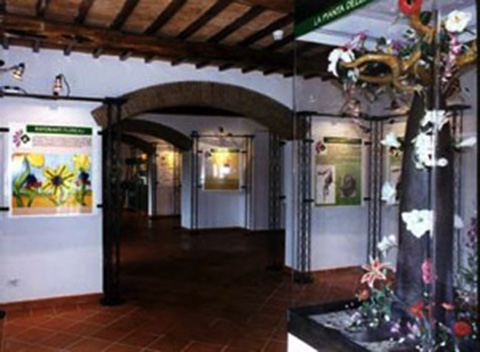museo del fiorea
