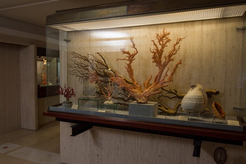 Museo del Corallo Liverino