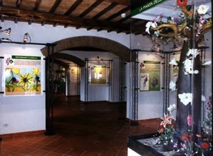 museo del fiore