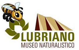 lubriano museo logo